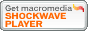 Macromedia Shockwave Player κǿǤ򥤥󥹥ȡ